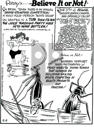 Ripley's Believe It or Not on Sunday September 10, 2000 Comic Strip