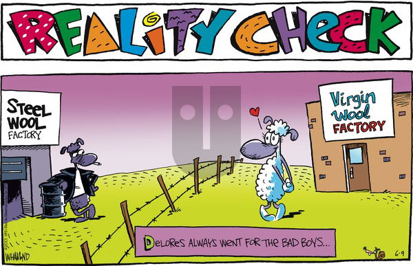 Reality Check on Sunday June 9, 2013 Comic Strip