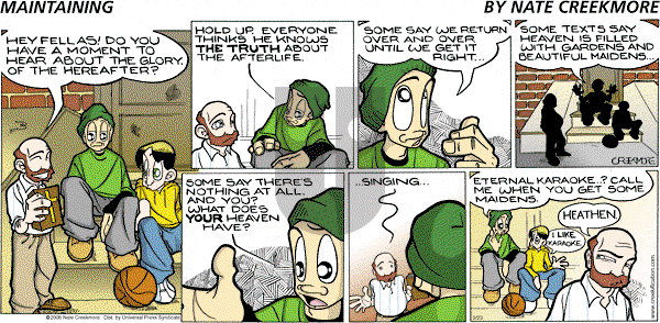Maintaining on Sunday March 23, 2008 Comic Strip