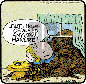 Ziggy on Saturday June 10, 2017 Comic Strip