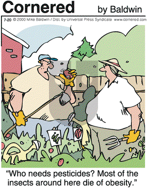 Cornered on Thursday July 20, 2000 Comic Strip