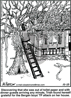 Close to Home on Monday October 25, 2004 Comic Strip