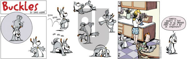Buckles on Sunday July 13, 2025 Comic Strip