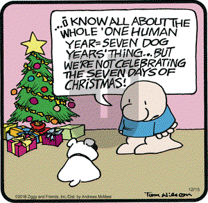 Ziggy on Saturday December 15, 2018 Comic Strip
