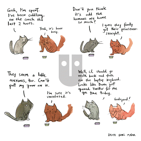 The Worried Well on Wednesday April 22, 2020 Comic Strip