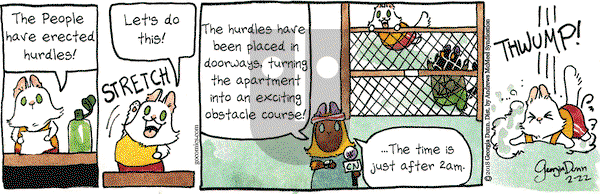 Breaking Cat News on Thursday February 22, 2018 Comic Strip