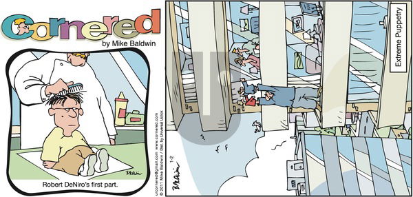 Cornered on Sunday January 2, 2011 Comic Strip
