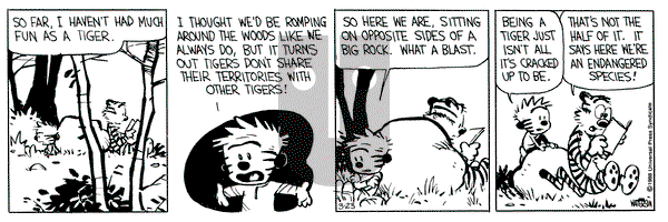 Calvin and Hobbes on Wednesday March 23, 1988 Comic Strip