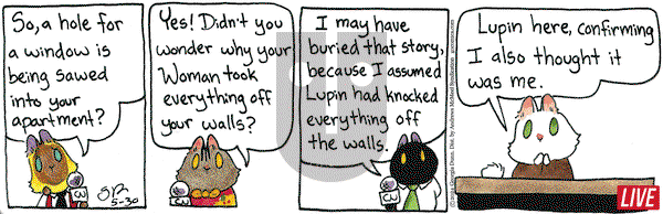 Breaking Cat News - Thursday May 30, 2024 Comic Strip