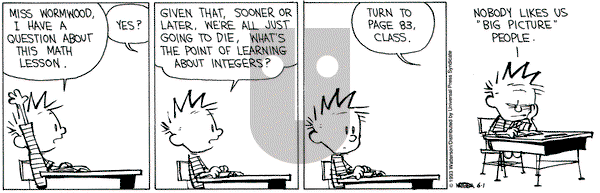 Calvin and Hobbes on Tuesday June 1, 1993 Comic Strip