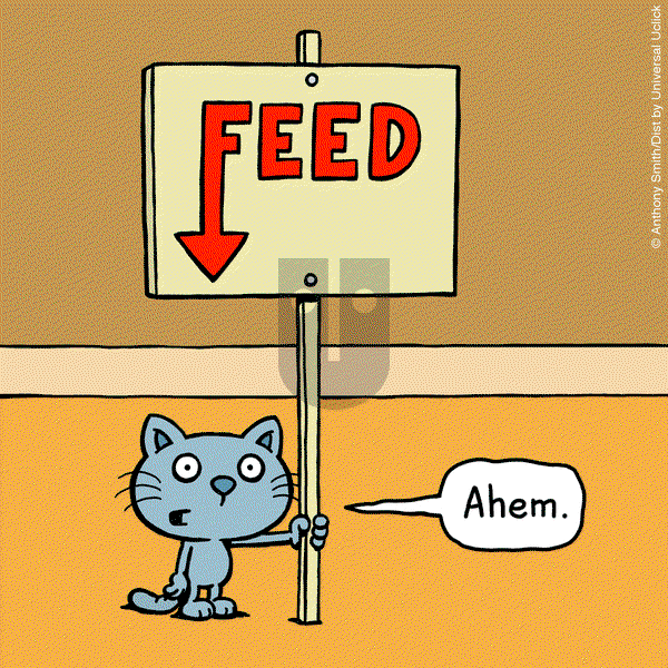 Cattitude — Doggonit on Thursday May 8, 2025 Comic Strip
