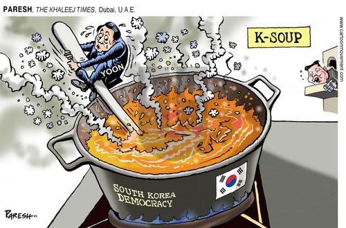 ViewsAsia on Sunday December 22, 2024 Comic Strip