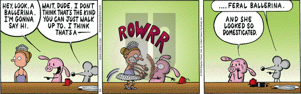 Pearls Before Swine - Tuesday September 8, 2009 Comic Strip