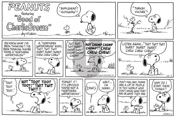 Peanuts on Sunday December 7, 1980 Comic Strip