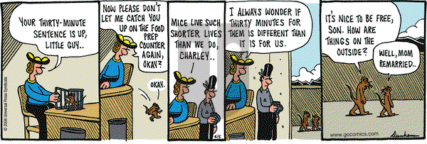 Overboard on Thursday June 5, 2008 Comic Strip