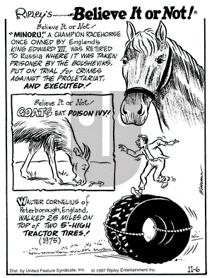 Ripley's Believe It or Not on Thursday November 6, 1997 Comic Strip