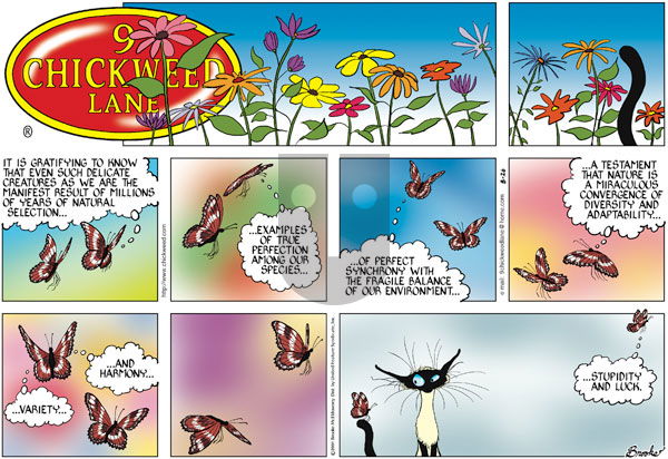 9 Chickweed Lane on Sunday August 26, 2001 Comic Strip