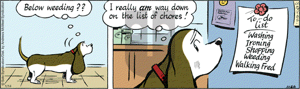 Fred Basset on Saturday January 14, 2017 Comic Strip