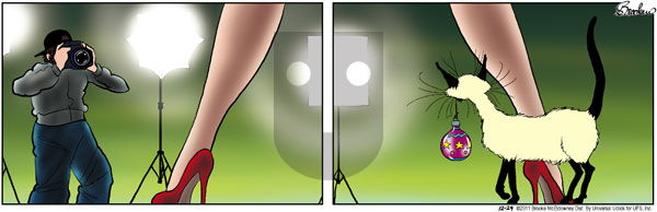 9 Chickweed Lane - Saturday December 24, 2011 Comic Strip