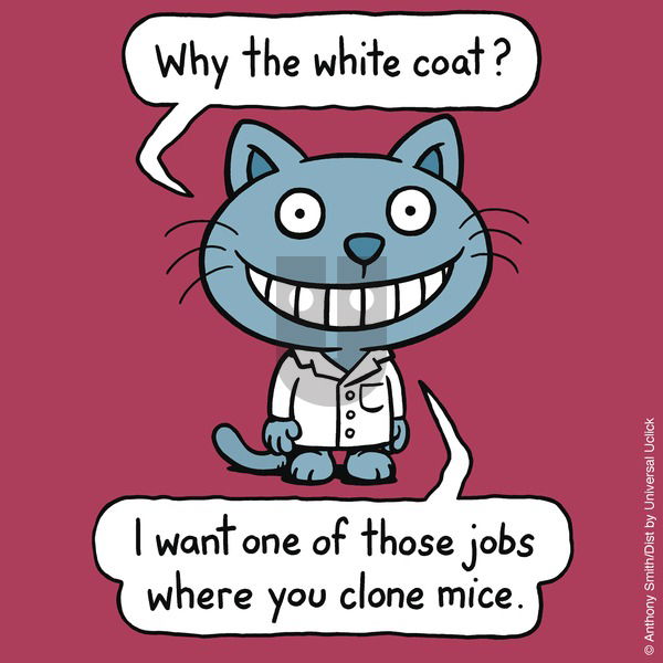 Cattitude — Doggonit - Sunday December 1, 2024 Comic Strip