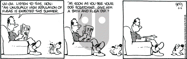 Luann on Thursday June 4, 1992 Comic Strip