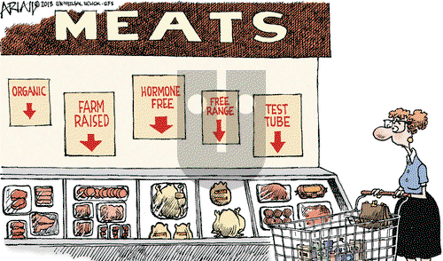 Robert Ariail on Wednesday August 14, 2013 Comic Strip