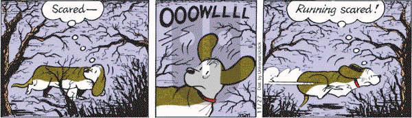 Fred Basset on Saturday November 27, 2010 Comic Strip