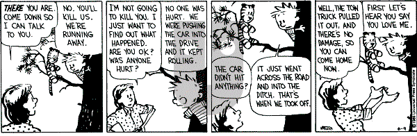 Calvin and Hobbes - Friday June 9, 1989 Comic Strip