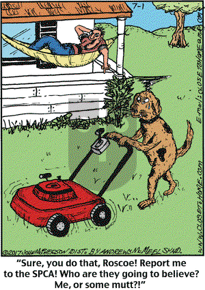 Close to Home on Saturday July 1, 2017 Comic Strip