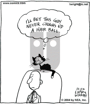 Kit 'N' Carlyle on Monday November 15, 2004 Comic Strip