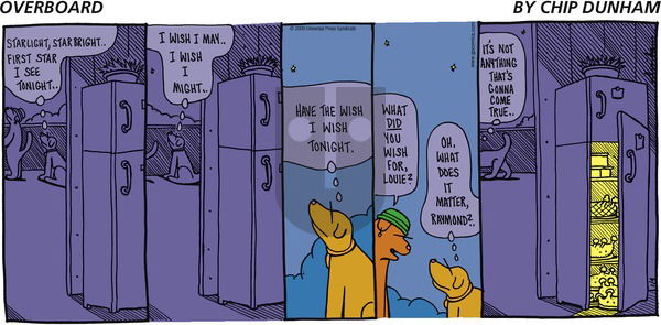 Overboard on Sunday January 4, 2009 Comic Strip