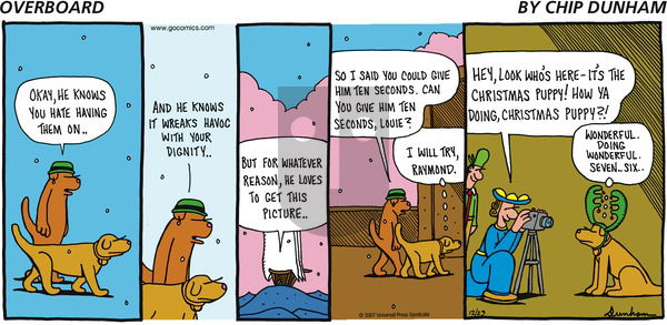 Overboard on Sunday December 23, 2007 Comic Strip