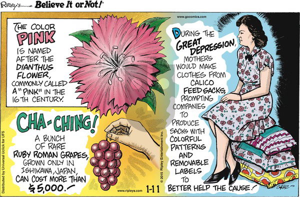 Ripley's Believe It or Not on Sunday January 11, 2015 Comic Strip