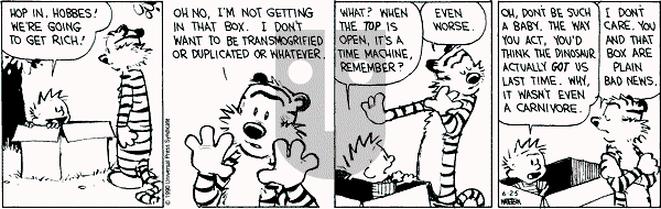 Calvin and Hobbes - Monday June 25, 1990 Comic Strip