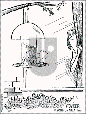 Moderately Confused on Saturday April 5, 2008 Comic Strip