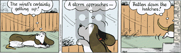 Fred Basset on Saturday December 31, 2011 Comic Strip