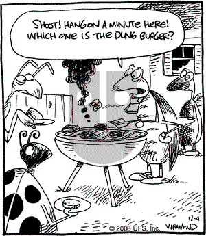 Reality Check on Tuesday December 9, 2008 Comic Strip
