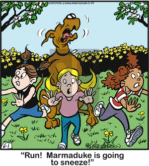 Marmaduke on Monday June 1, 2020 Comic Strip