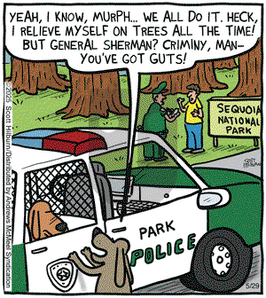 The Argyle Sweater on Thursday May 29, 2025 Comic Strip