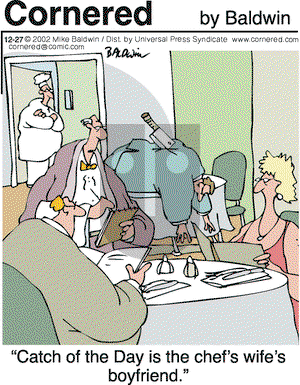 Cornered on Friday December 27, 2002 Comic Strip