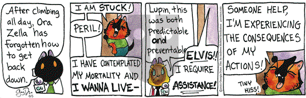 Breaking Cat News on Thursday June 5, 2025 Comic Strip