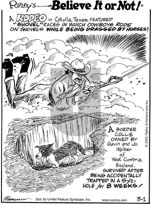 Ripley's Believe It or Not - Friday March 1, 2002 Comic Strip