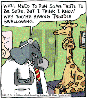 The Argyle Sweater on Friday May 26, 2017 Comic Strip