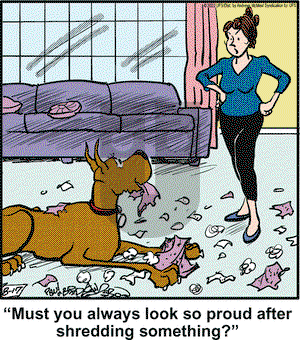 Marmaduke on Wednesday August 17, 2022 Comic Strip