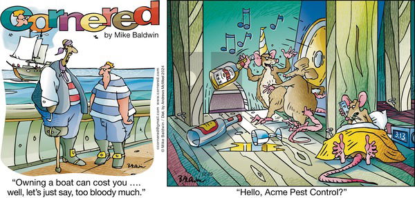 Cornered on Sunday December 29, 2024 Comic Strip