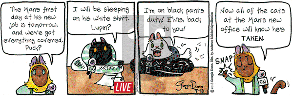 Breaking Cat News on Monday July 16, 2018 Comic Strip