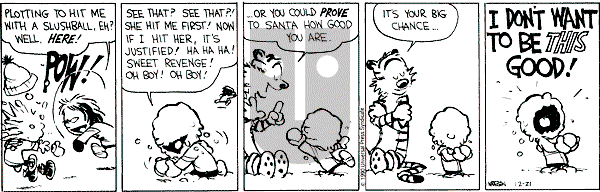 Calvin and Hobbes - Friday December 21, 1990 Comic Strip