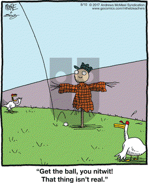 In the Bleachers on Thursday August 10, 2017 Comic Strip