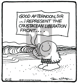 Ziggy on Monday October 12, 1987 Comic Strip
