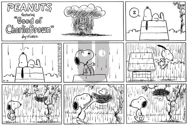 Peanuts on Sunday April 4, 1976 Comic Strip